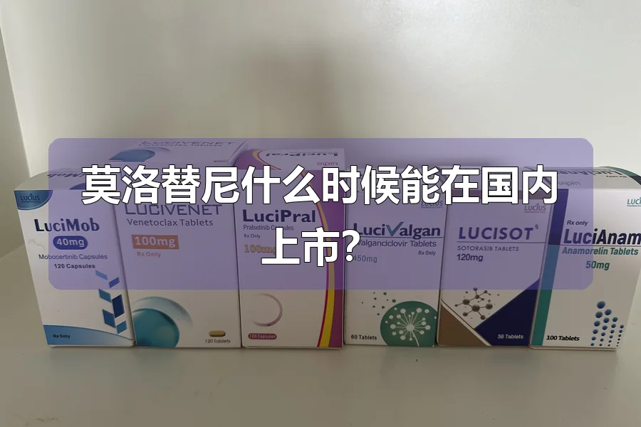 莫洛替尼什么时候能在国内上市？